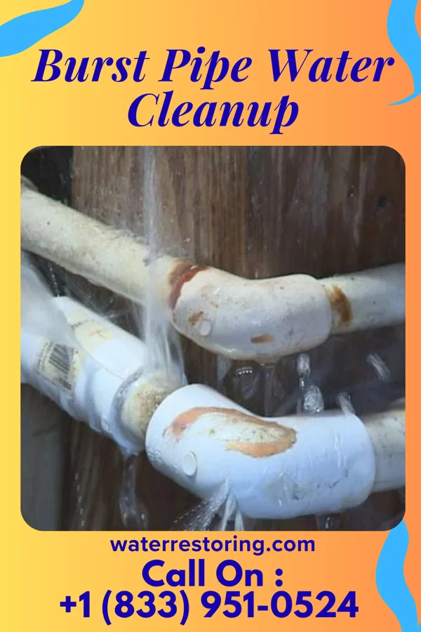 Burst Pipe Water Cleanup in Madison, MS