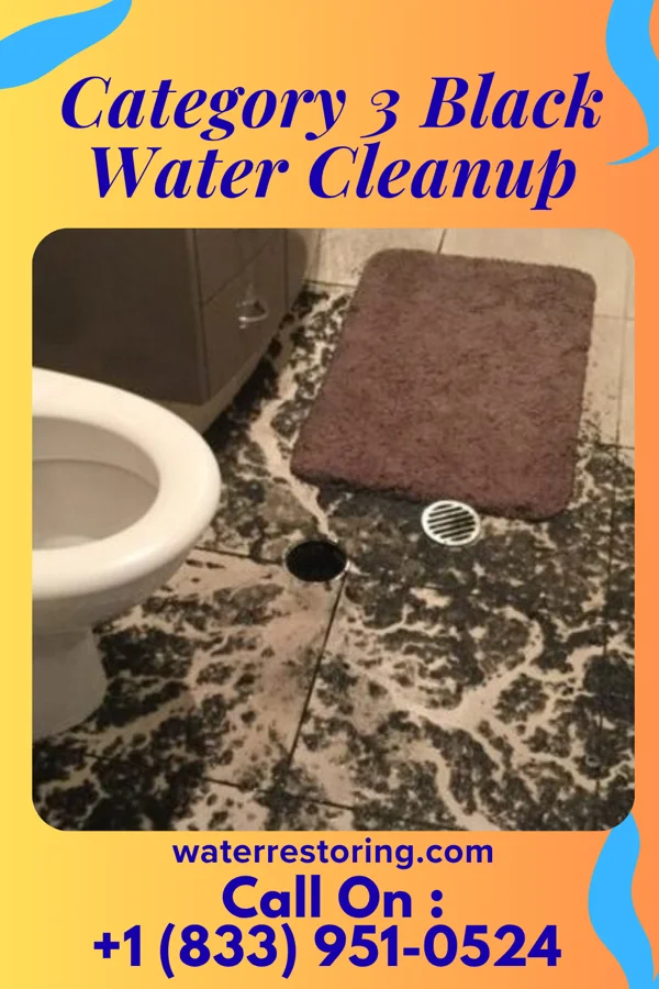 Category 3 Black Water Cleanup in Madison, MS