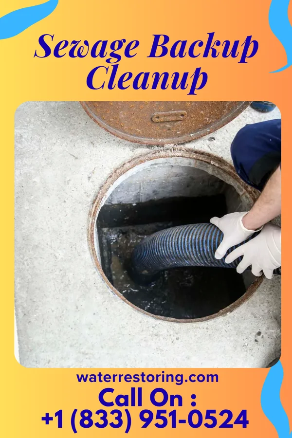 Sewage Backup Cleanup in Madison, MS