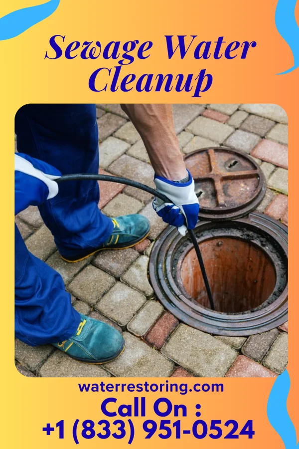 Sewage Water Cleanup in Madison, MS