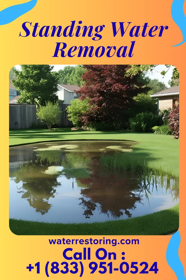 Standing Water Removal in Madison, MS